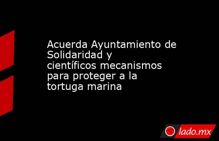 Acuerda Ayuntamiento de Solidaridad y científicos mecanismos para proteger a la tortuga marina. Noticias en tiempo real