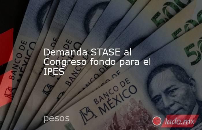 Demanda STASE al Congreso fondo para el IPES. Noticias en tiempo real
