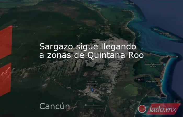 Sargazo sigue llegando a zonas de Quintana Roo. Noticias en tiempo real