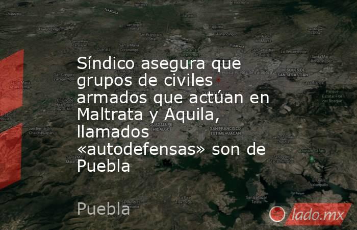 Síndico asegura que grupos de civiles armados que actúan en Maltrata y Aquila, llamados «autodefensas» son de Puebla. Noticias en tiempo real
