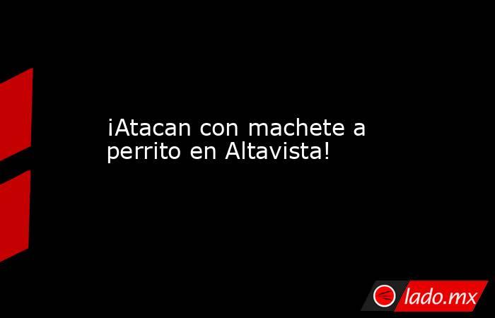 ¡Atacan con machete a perrito en Altavista!. Noticias en tiempo real