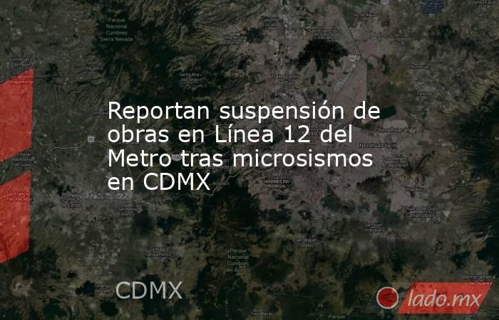 Reportan suspensión de obras en Línea 12 del Metro tras microsismos en CDMX. Noticias en tiempo real