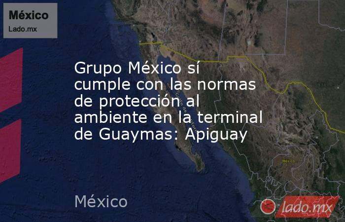 Grupo México sí cumple con las normas de protección al ambiente en la terminal de Guaymas: Apiguay. Noticias en tiempo real