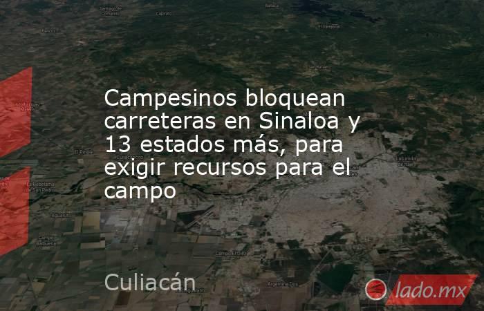 Campesinos bloquean carreteras en Sinaloa y 13 estados más, para exigir recursos para el campo. Noticias en tiempo real