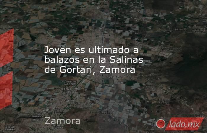 Joven es ultimado a balazos en la Salinas de Gortari, Zamora. Noticias en tiempo real