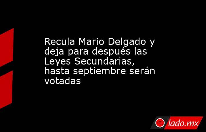 Recula Mario Delgado y deja para después las Leyes Secundarias, hasta septiembre serán votadas. Noticias en tiempo real