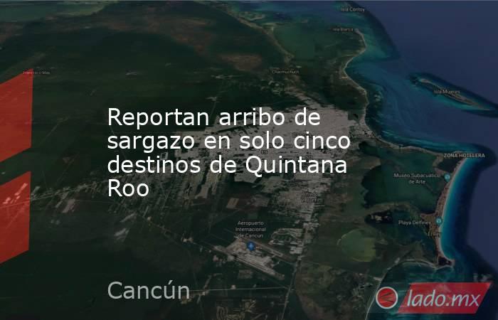 Reportan arribo de sargazo en solo cinco destinos de Quintana Roo. Noticias en tiempo real