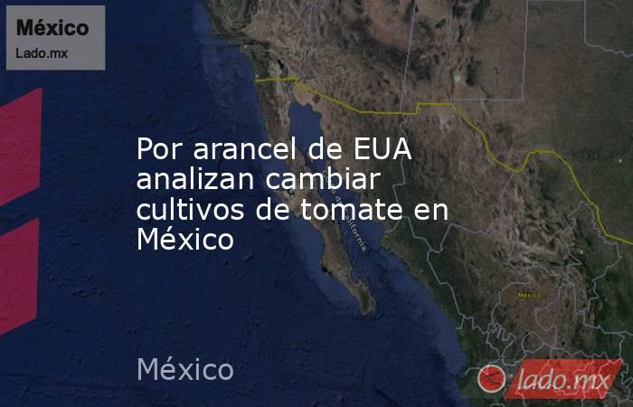 Por arancel de EUA analizan cambiar cultivos de tomate en México. Noticias en tiempo real