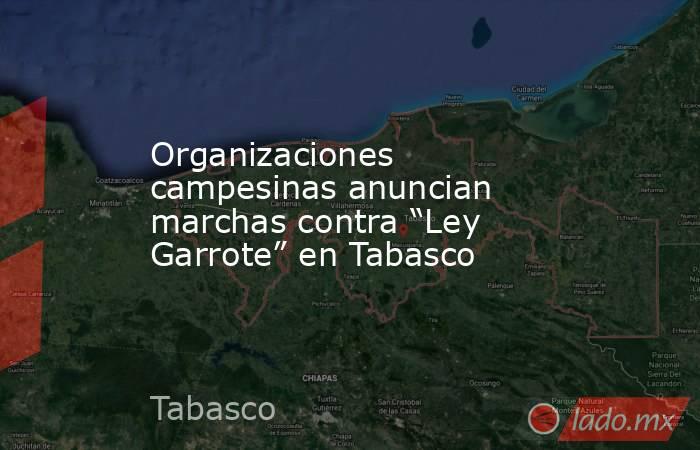 Organizaciones campesinas anuncian marchas contra “Ley Garrote” en Tabasco. Noticias en tiempo real
