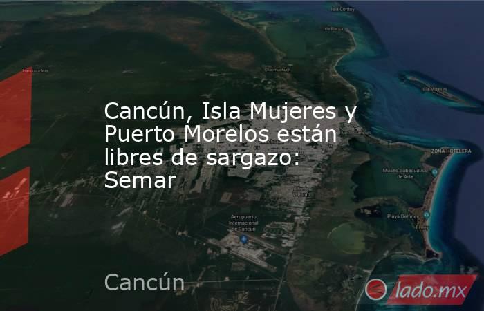 Cancún, Isla Mujeres y Puerto Morelos están libres de sargazo: Semar. Noticias en tiempo real