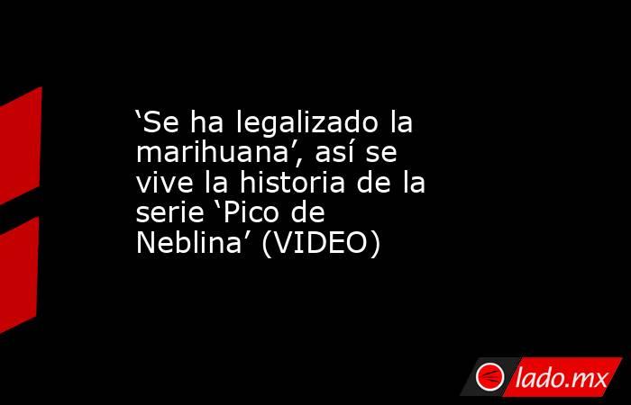 ‘Se ha legalizado la marihuana’, así se vive la historia de la serie ‘Pico de Neblina’ (VIDEO)
. Noticias en tiempo real