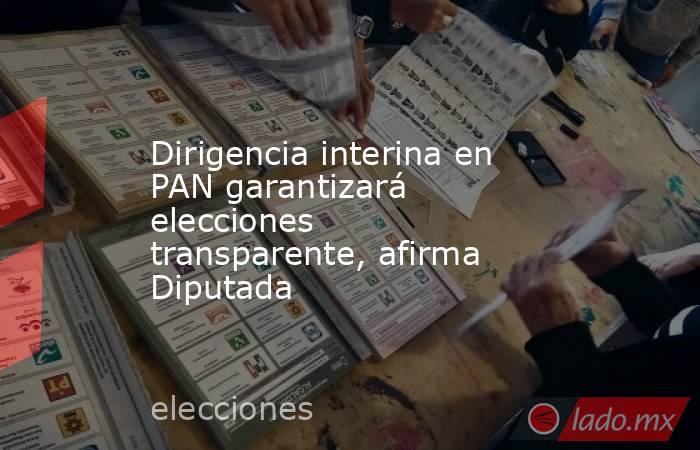 Dirigencia interina en PAN garantizará elecciones transparente, afirma Diputada. Noticias en tiempo real