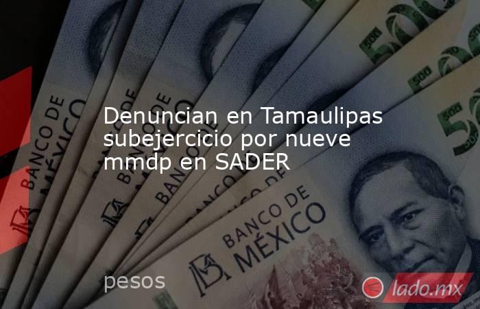 Denuncian en Tamaulipas subejercicio por nueve mmdp en SADER. Noticias en tiempo real