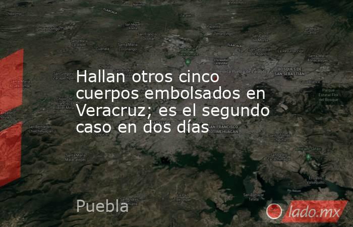 Hallan otros cinco cuerpos embolsados en Veracruz; es el segundo caso en dos días. Noticias en tiempo real