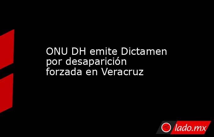 ONU DH emite Dictamen por desaparición forzada en Veracruz. Noticias en tiempo real