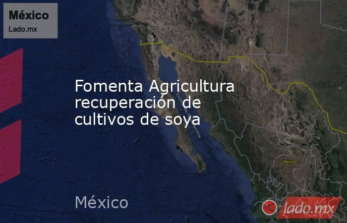 Fomenta Agricultura recuperación de cultivos de soya. Noticias en tiempo real