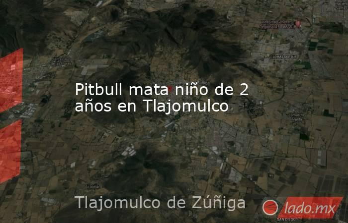 Pitbull mata niño de 2 años en Tlajomulco. Noticias en tiempo real
