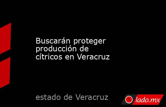 Buscarán proteger producción de cítricos en Veracruz. Noticias en tiempo real