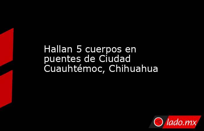 Hallan 5 cuerpos en puentes de Ciudad Cuauhtémoc, Chihuahua. Noticias en tiempo real