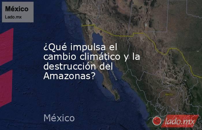 ¿Qué impulsa el cambio climático y la destrucción del Amazonas?. Noticias en tiempo real