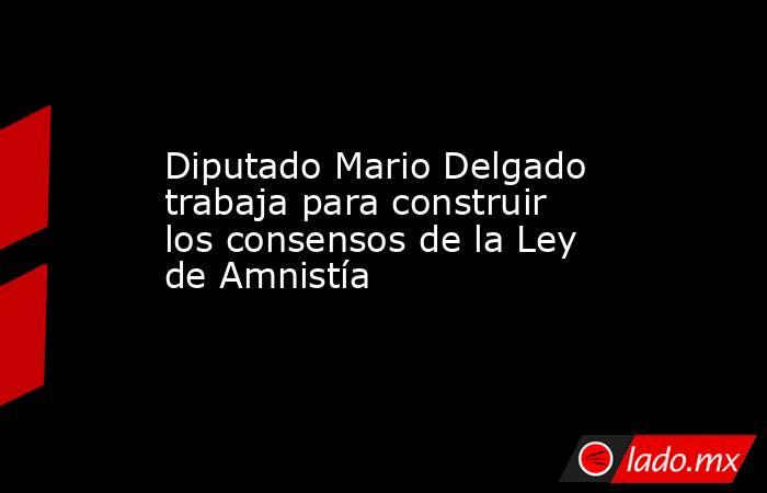 Diputado Mario Delgado trabaja para construir los consensos de la Ley de Amnistía. Noticias en tiempo real