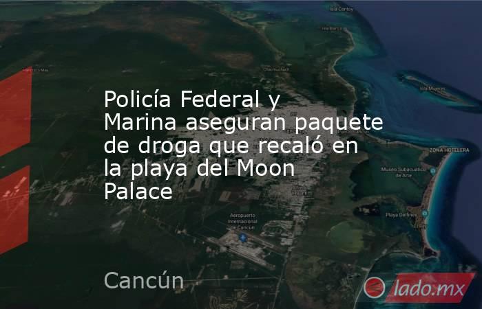 Policía Federal y Marina aseguran paquete de droga que recaló en la playa del Moon Palace. Noticias en tiempo real