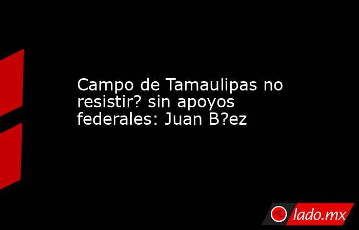 Campo de Tamaulipas no resistir? sin apoyos federales: Juan B?ez. Noticias en tiempo real