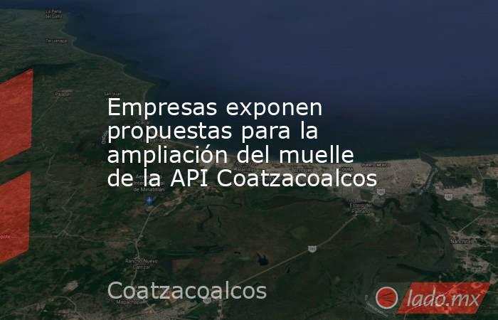 Empresas exponen propuestas para la ampliación del muelle de la API Coatzacoalcos . Noticias en tiempo real