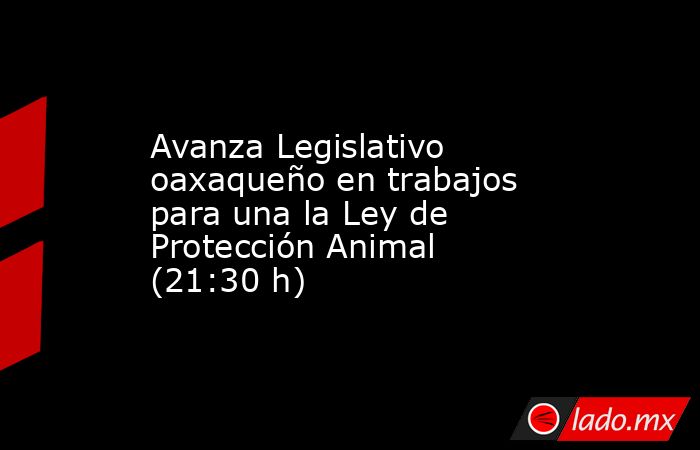 Avanza Legislativo oaxaqueño en trabajos para una la Ley de Protección Animal (21:30 h). Noticias en tiempo real