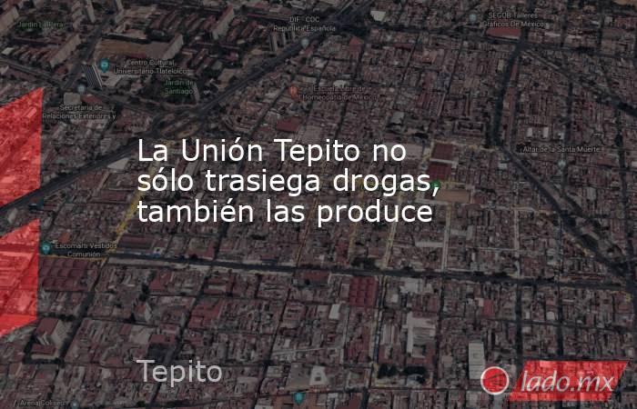 La Unión Tepito no sólo trasiega drogas, también las produce. Noticias en tiempo real
