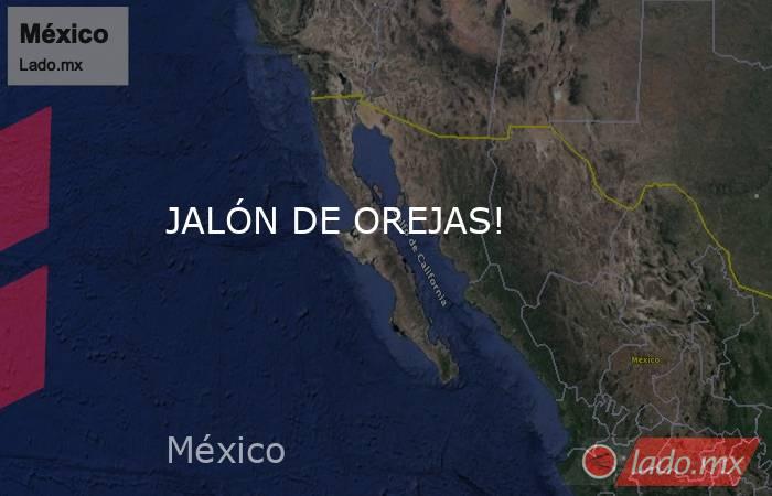 JALÓN DE OREJAS!. Noticias en tiempo real
