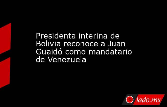 Presidenta interina de Bolivia reconoce a Juan Guaidó como mandatario de Venezuela. Noticias en tiempo real