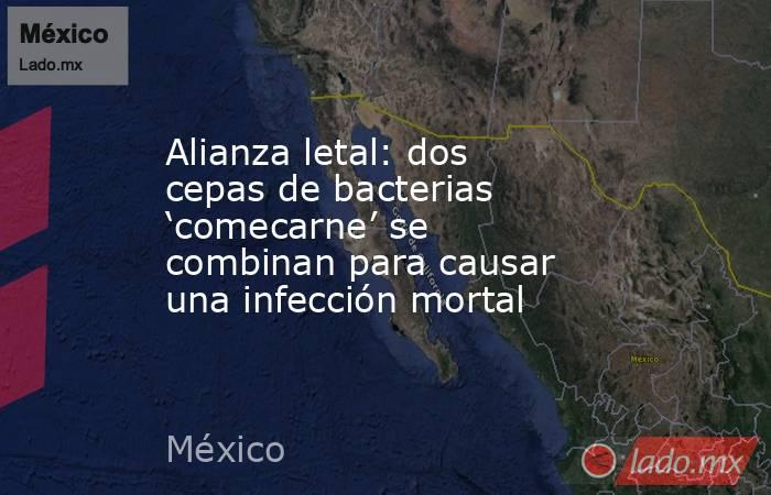Alianza letal: dos cepas de bacterias ‘comecarne’ se combinan para causar una infección mortal. Noticias en tiempo real