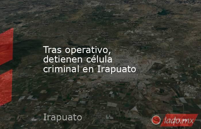 Tras operativo, detienen célula criminal en Irapuato. Noticias en tiempo real