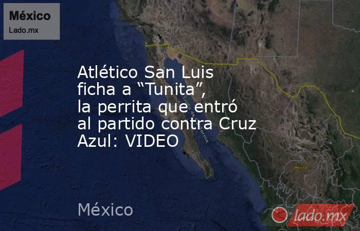 Atlético San Luis ficha a “Tunita”, la perrita que entró al partido contra Cruz Azul: VIDEO. Noticias en tiempo real