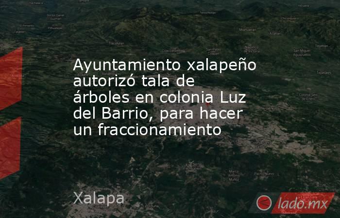 Ayuntamiento xalapeño autorizó tala de árboles en colonia Luz del Barrio, para hacer un fraccionamiento. Noticias en tiempo real