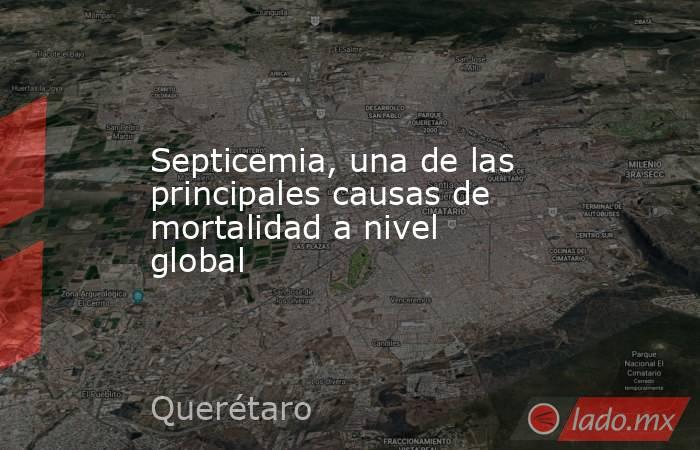 Septicemia, una de las principales causas de mortalidad a nivel global. Noticias en tiempo real