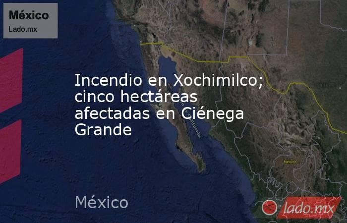 Incendio en Xochimilco; cinco hectáreas afectadas en Ciénega Grande. Noticias en tiempo real