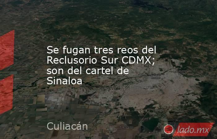 Se fugan tres reos del Reclusorio Sur CDMX; son del cartel de Sinaloa. Noticias en tiempo real