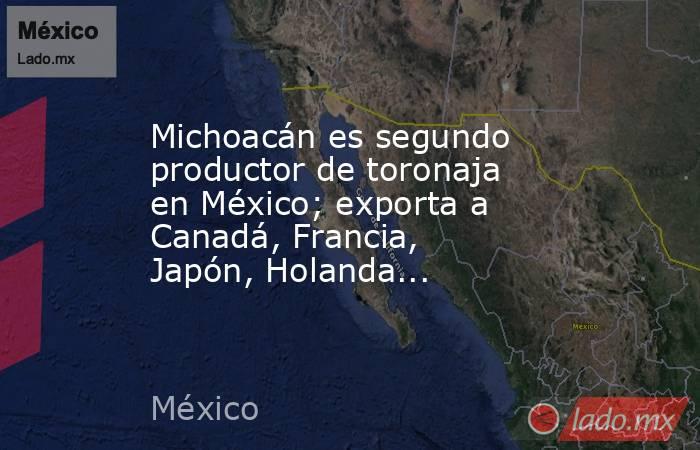 Michoacán es segundo productor de toronaja en México; exporta a Canadá, Francia, Japón, Holanda.... Noticias en tiempo real