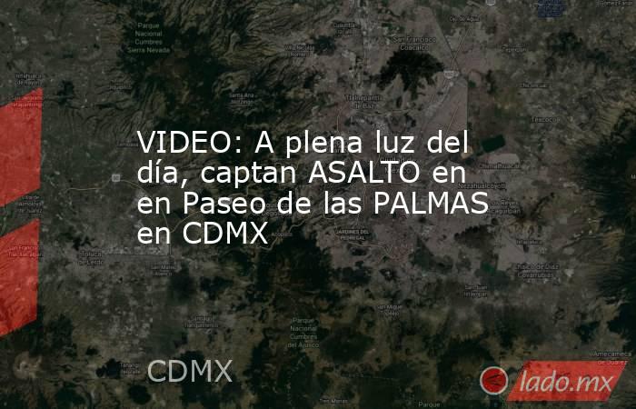 VIDEO: A plena luz del día, captan ASALTO en en Paseo de las PALMAS en CDMX. Noticias en tiempo real
