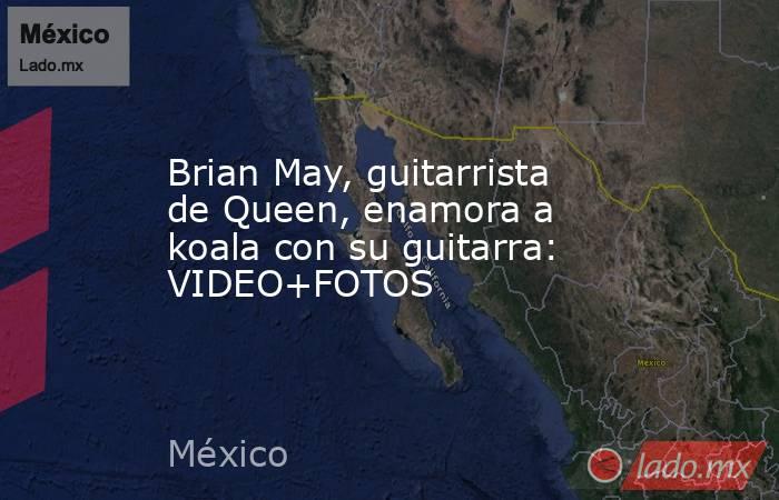 Brian May, guitarrista de Queen, enamora a koala con su guitarra: VIDEO+FOTOS. Noticias en tiempo real