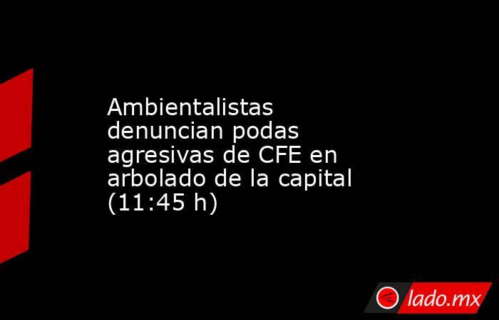 Ambientalistas denuncian podas agresivas de CFE en arbolado de la capital (11:45 h). Noticias en tiempo real