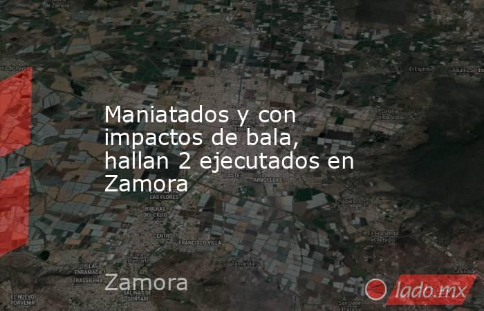 Maniatados y con impactos de bala, hallan 2 ejecutados en Zamora. Noticias en tiempo real