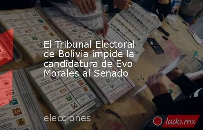 El Tribunal Electoral de Bolivia impide la candidatura de Evo Morales al Senado. Noticias en tiempo real
