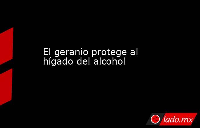 El geranio protege al hígado del alcohol. Noticias en tiempo real