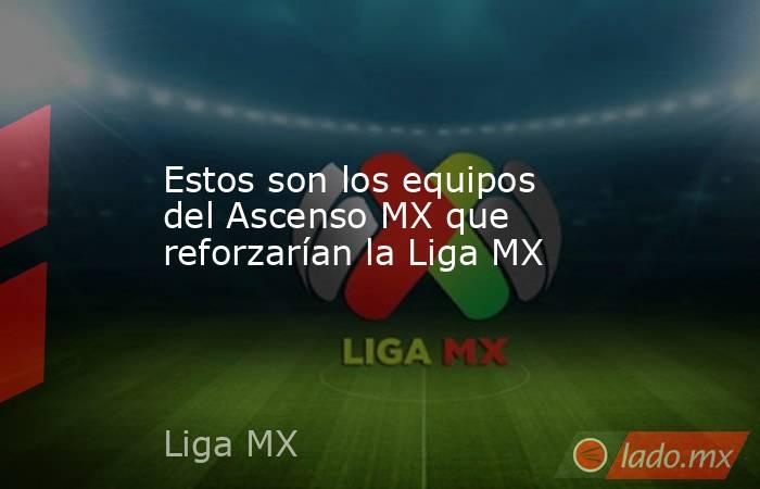 Estos son los equipos del Ascenso MX que reforzarían la Liga MX. Noticias en tiempo real