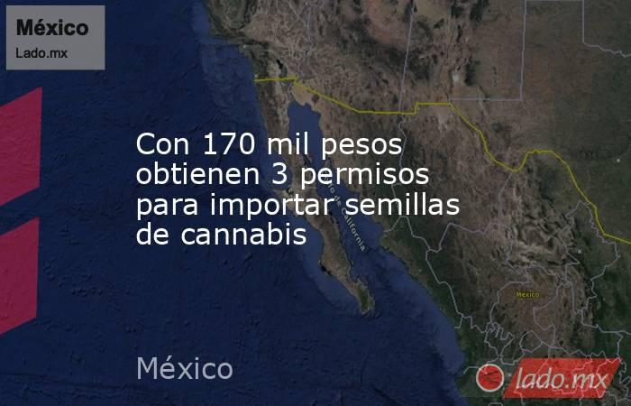 Con 170 mil pesos obtienen 3 permisos para importar semillas de cannabis. Noticias en tiempo real