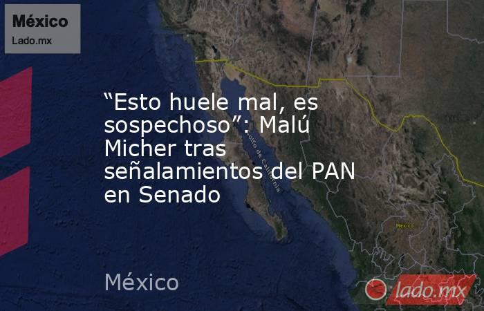 “Esto huele mal, es sospechoso”: Malú Micher tras señalamientos del PAN en Senado. Noticias en tiempo real