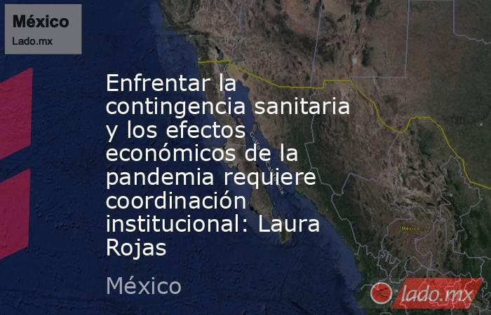 Enfrentar la contingencia sanitaria y los efectos económicos de la pandemia requiere coordinación institucional: Laura Rojas. Noticias en tiempo real